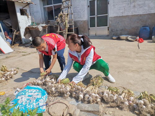 東營市新時(shí)代文明實(shí)踐志愿服務(wù)網(wǎng) 數(shù)字化平臺賦能志愿服務(wù)新篇章